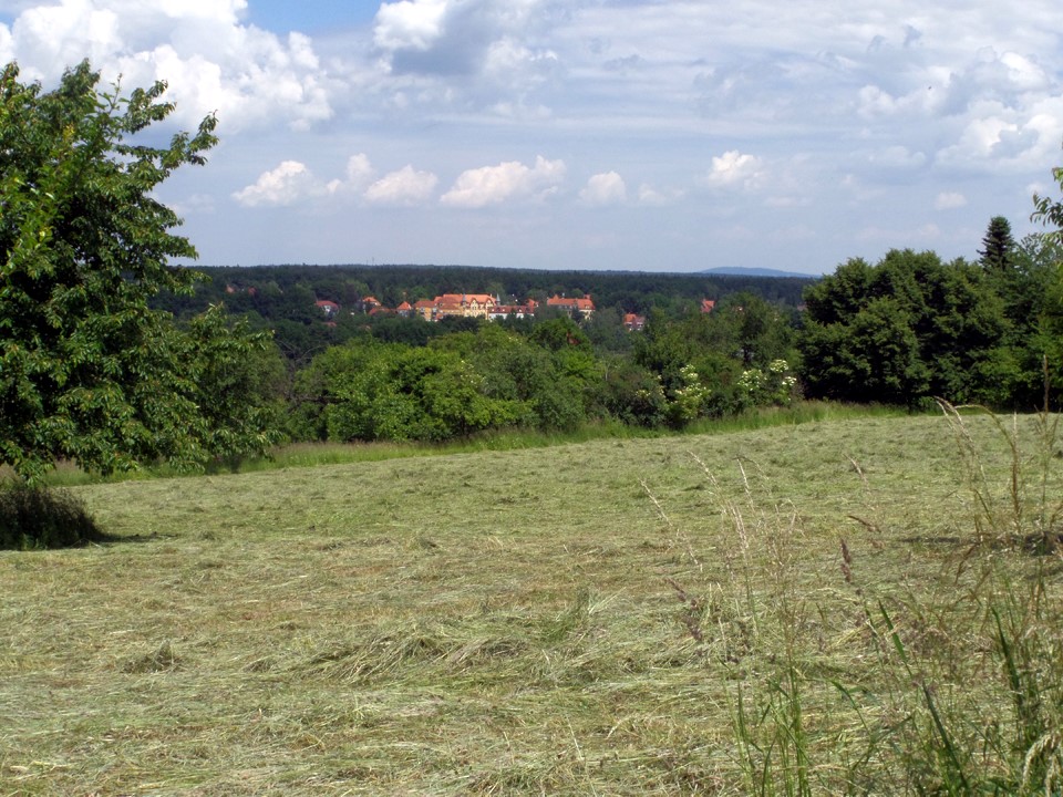 Blick nach Bühlau