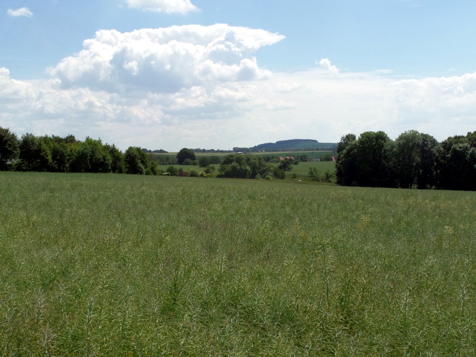 Schönfelder Hochland